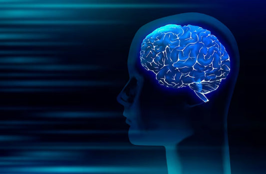 The Psychological Power of Smell: How Scents Affect Our Mood and Behavior - LL Health Supplement 