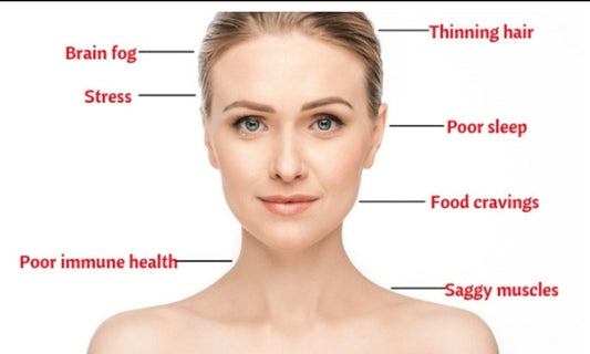 Health-Beauty-Podcast LL Supplement