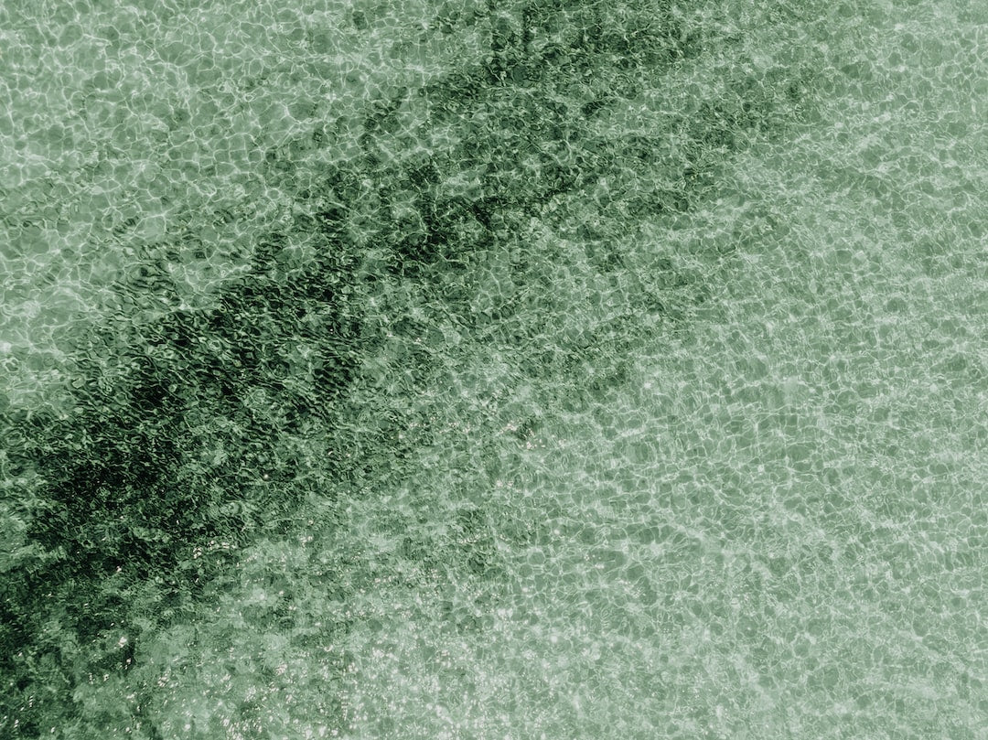 Unleash Your Inner Wellness: Discover the Power of Pharmacist-Formulated Supplements at L & L Supplement LLC - LL Health Supplement 