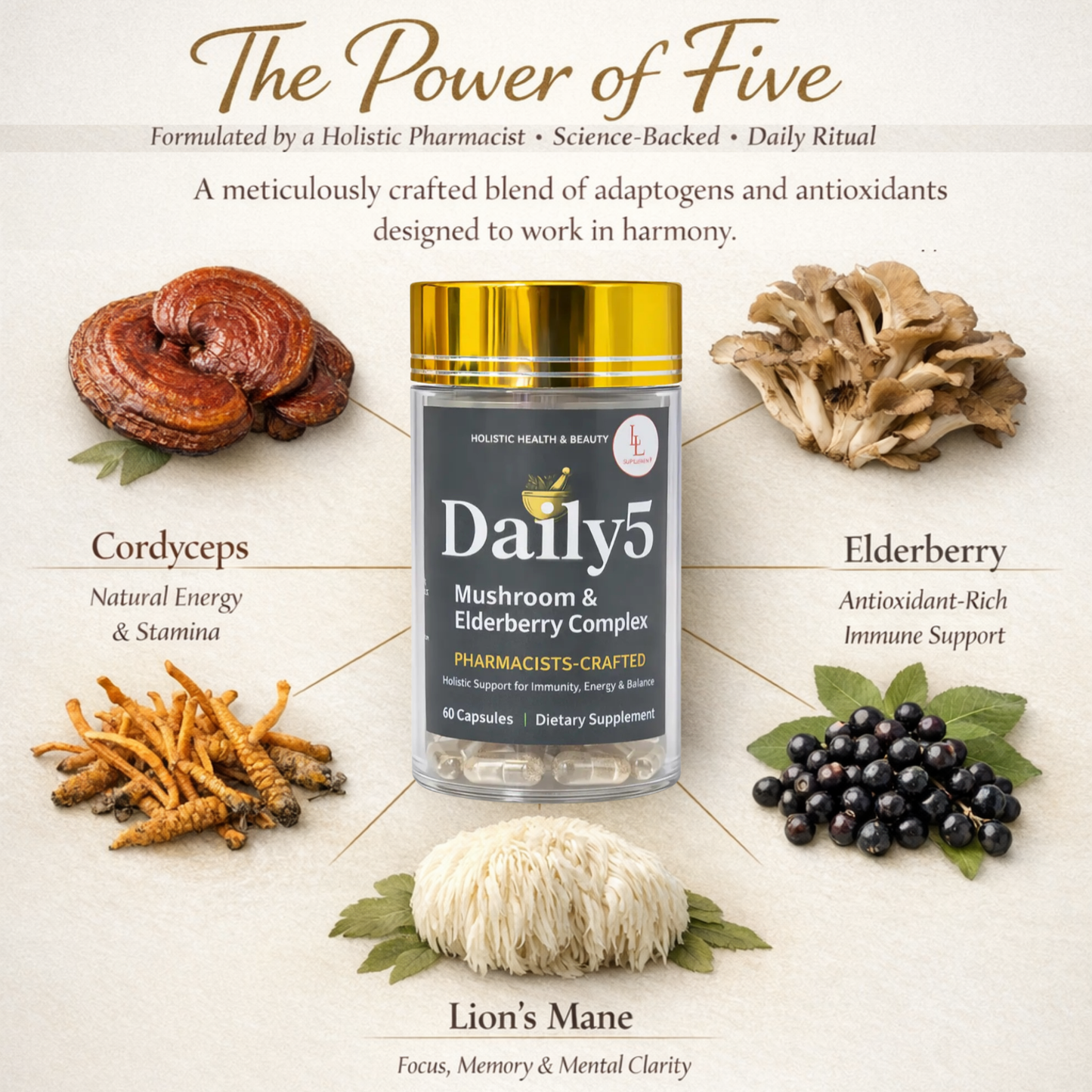 Daily 5 – Mushroom Complex and Elderberry | Pharmacist’s Formulation